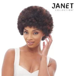 JANET COLLECTION 100% REMY HUMAN HAIR AFRO WIG